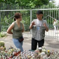 Выставка май 2008