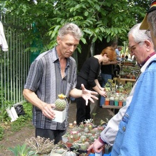 Выставка май 2008