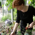Выставка май 2008