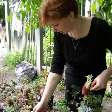 Выставка май 2008