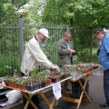 Выставка май 2008