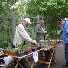 Выставка май 2008