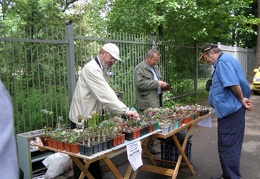 Выставка май 2008