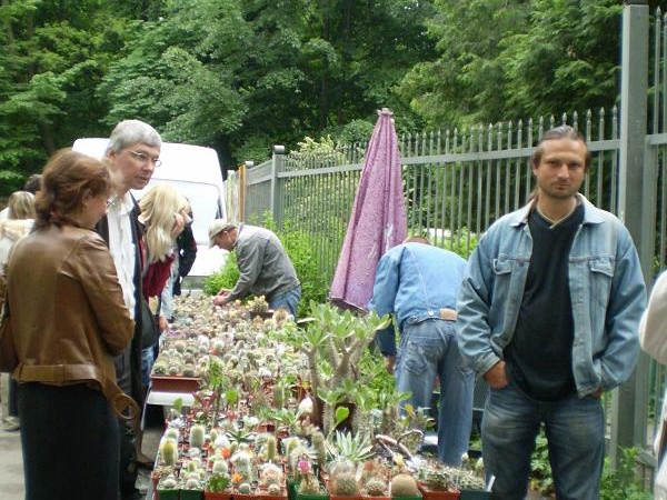 Выставка май 2008