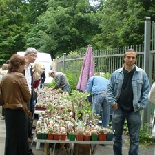 Выставка май 2008