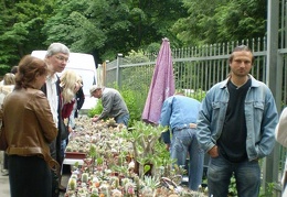 Выставка май 2008