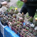 Выставка май 2008