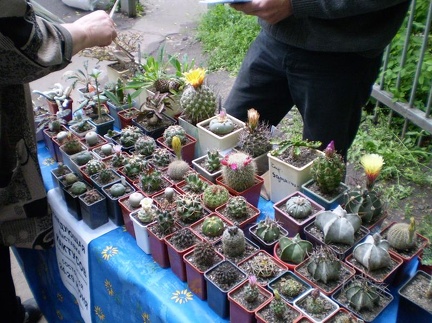 Выставка май 2008