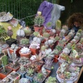 Выставка май 2008