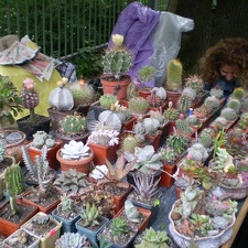 Выставка май 2008