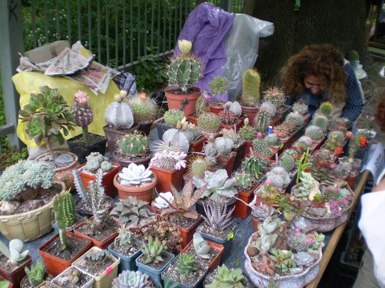 Выставка май 2008