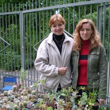 Выставка май 2008