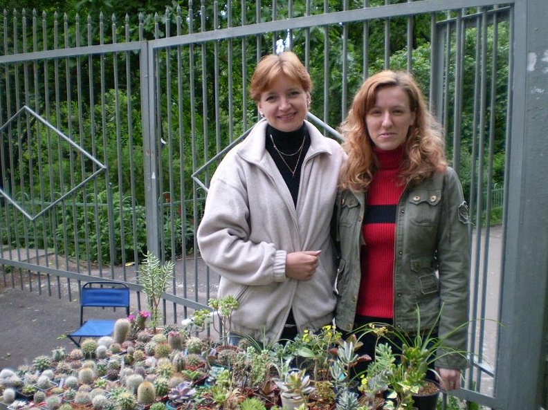 Выставка май 2008