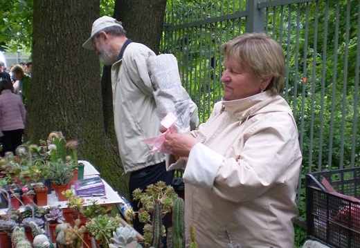Выставка май 2008