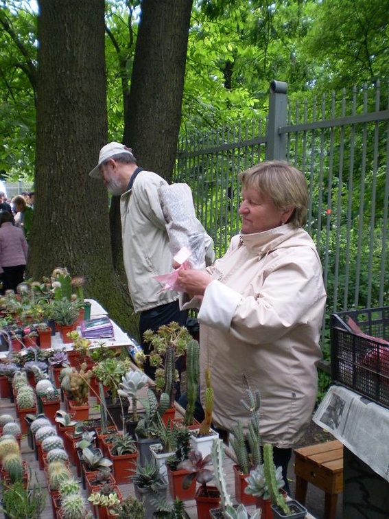 Выставка май 2008