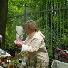 Выставка май 2008