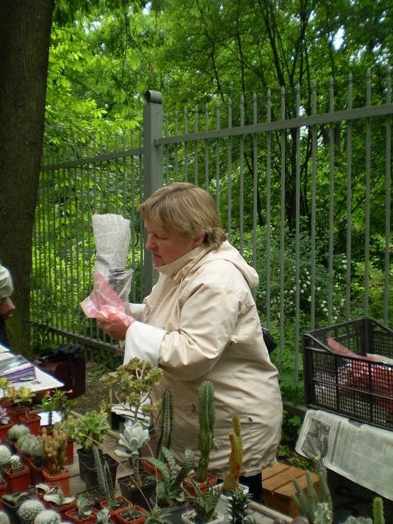 Выставка май 2008