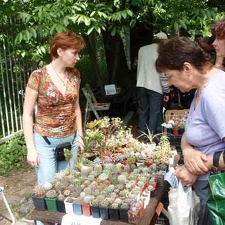 Выставка май 2008