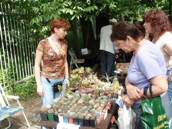 Выставка май 2008