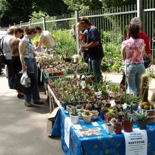 Выставка май 2008