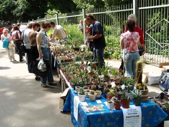 Выставка май 2008