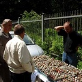Выставка май 2008