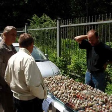 Выставка май 2008
