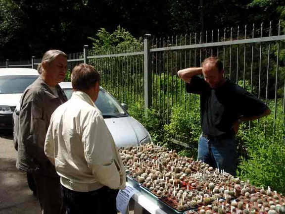 Выставка май 2008