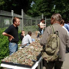 Выставка май 2008