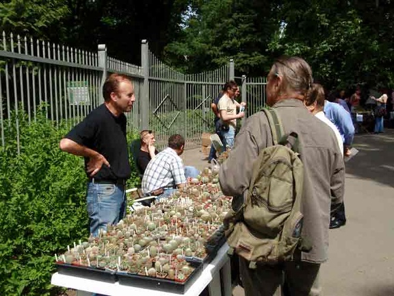 Выставка май 2008