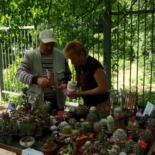 Выставка май 2008