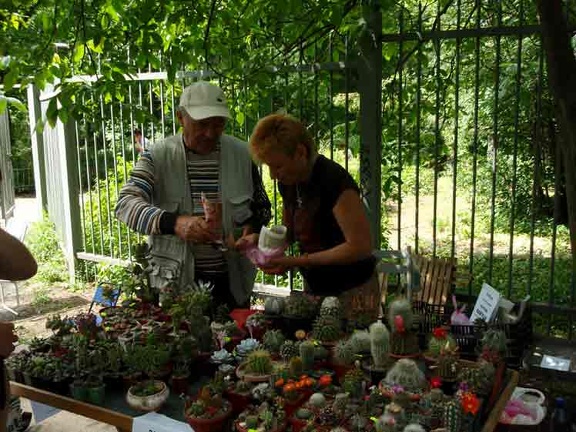 Выставка май 2008