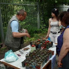Выставка май 2008