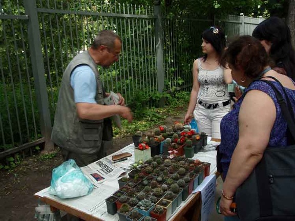 Выставка май 2008