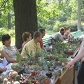 Выставка май 2007