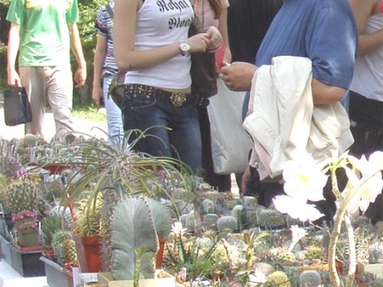Выставка май 2007