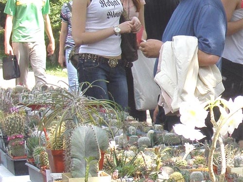 Выставка май 2007