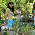 Выставка май 2007