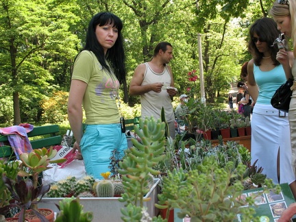 Выставка май 2007