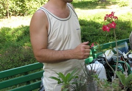 Выставка май 2007