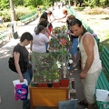 Выставка май 2007