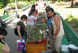 Выставка май 2007