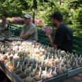Выставка май 2007