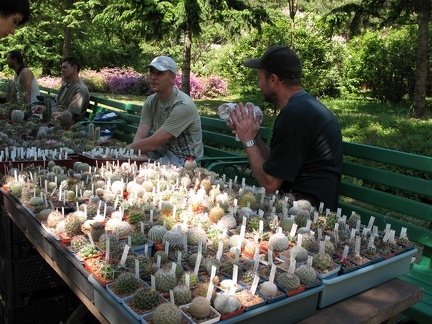 Выставка май 2007