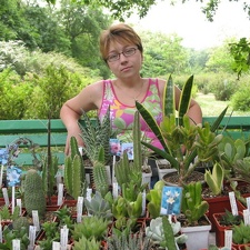 Выставка май 2007