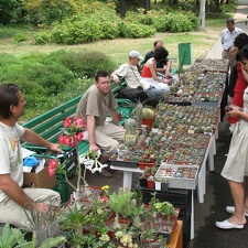 Выставка май 2007