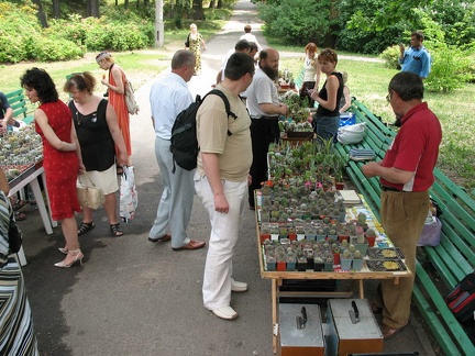 Выставка май 2007