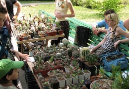 Выставка май 2007