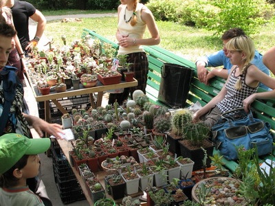 Выставка май 2007