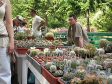 Выставка май 2007